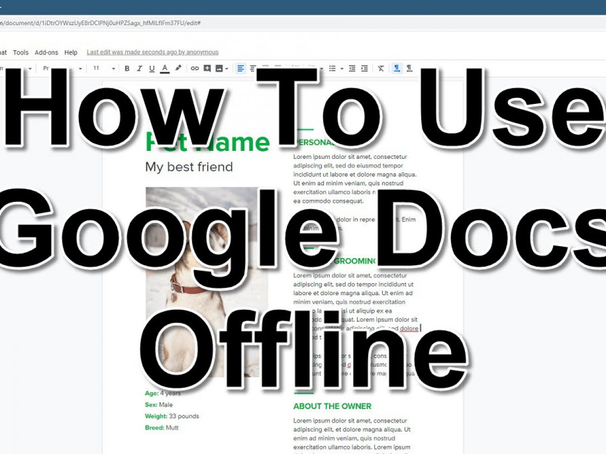 how to use google docs offline on windows